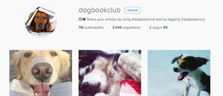 dog-book-club-mundo-de-livros